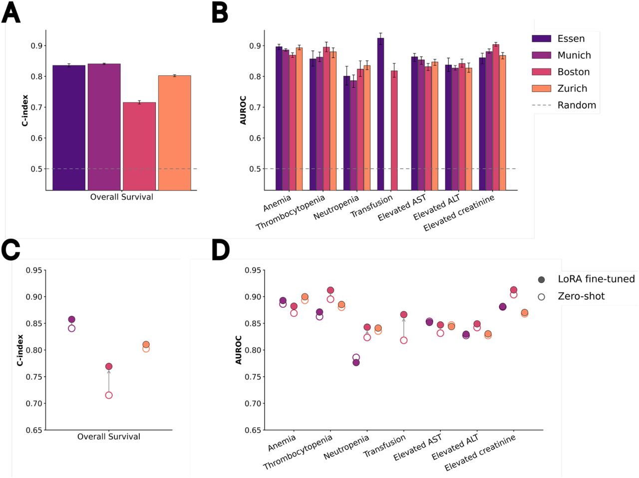 Chronicle discrimination performance and the effect of site-specific fine-tuning on external cohorts. A:C-index for overall survival prediction on the test set of the internal cohort (Essen) and three external validation cohorts (Munich, Boston, Zurich) under zero-shot transfer with frozen Essen-trained weights. B: AUROC for seven clinical endpoints. CTCAE grade ≥3 endpoints (anemia, thrombocytopenia, neutropenia) within 60 days, elevated AST and ALT (>3× ULN, analog to CTCAE v6) and creatinine (>1.5× ULN, analog to CTCAE v6) within 60 days and for transfusion within 7 days; transfusion data were unavailable for Munich and Zurich. C, D: Effect of site-specific LoRA fine-tuning of Chronicle on each external cohort (Munich, Boston, Zurich), compared against zero-shot transfer, for overall-survival C-index (C) and the cytopenia and transfusion endpoints (D). Fine-tuning was performed on a held-out training set for each respective site. Hollow circles indicate zero-shot performance, filled circles indicate LoRA fine-tuned performance, and arrows show the direction of change. In A and B, bars represent the mean, and error bars indicate the 2.5th–97.5th percentiles across 50 repeated evaluations, each based on one randomly selected prediction time point per patient. Essen results were computed with the same procedure on its held-out internal test set. The dashed line marks chance performance (0.5). In C and D, points are means over the same sampled points.