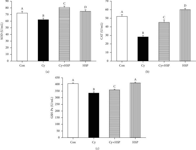 Effect of hemp seed polysaccharide on serum antioxidant levels SOD (a), CAT (b), and GSH-Px (c) in mice. Each bar represents mean ± SEM (n = 10). Bars with different letters (A, B, C, and D) are statistically different (p < 0.05).