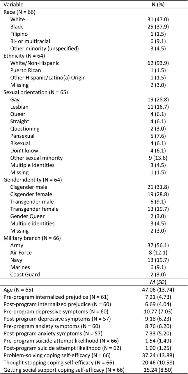 Veteran Demographic and Program Outcome Descriptive Information.