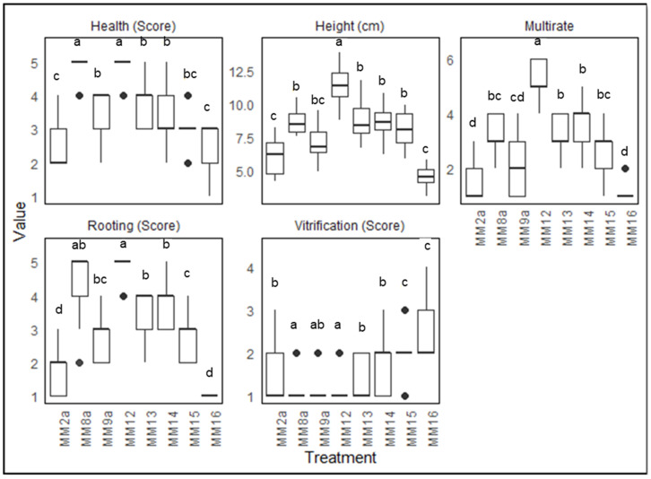 Effect of different media compositions on health, height, multiplication rate, rooting, and vitrification (N = 15 × 3). The means were compared using Dunn’s test with a significance level of adjusted p-value < 0.05; significant differences are indicated by different letters for each treatment.