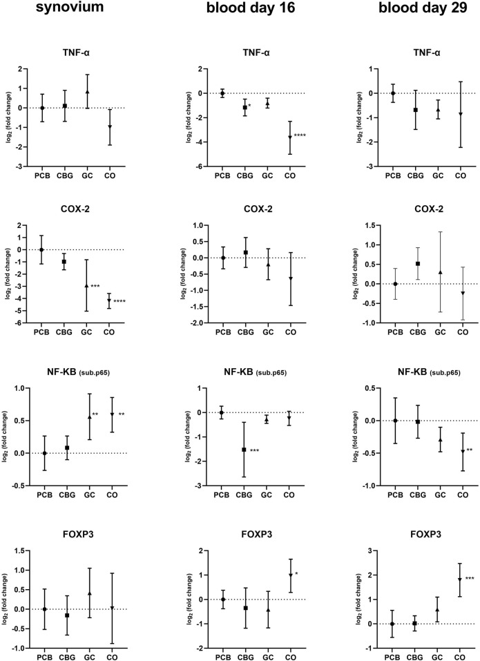 Four sets of bar charts compare log₂ fold change for TNF-α, COX-2, NF-KB (sub.p65), and FOXP3 across different treatments: PCB, CBG, GC, and CO. The charts illustrate data from synovium, blood on day 16, and blood on day 29. Error bars indicate variability, and significance is marked with asterisks.