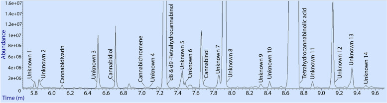 Total ion current chromatogram from a 3.5 ± 0.1 mg of trichomes from mixed inflorescences plant material with two different Cannabis sativa accessions (a chemotype I and a chemotype III). Cannabis sativa plant sample filtrate showing elution of 7 cannabinoids identified from standards and elution of 14 unknown compounds likely to represent unidentified cannabinoids
