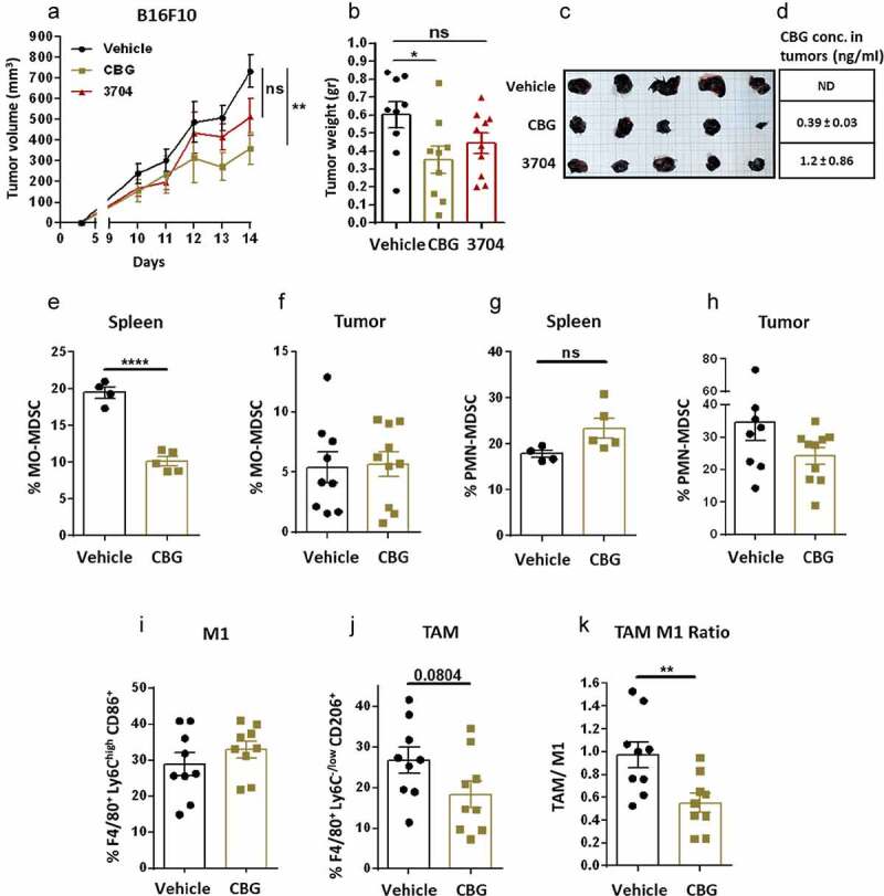 Synthetic CBG or high-CBG extract treatments reduce tumor progression and TAM macrophage frequencies in tumors.