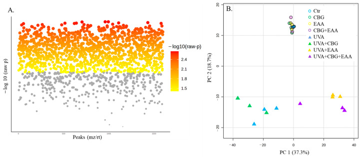 The results of non-parametric Kruskal–Wallis Test (false discovery rate (FDR) < 5%) (A) and principal component analysis (PCA) (B) performed based on protein expression found in UVA (18 J/cm2) irradiated skin melanocytes following 24 h incubation with cannabigerol (CBG, 1 µM), 3-O-ethyl ascorbic acid (EAA, 150 µM), and both compounds used together (CBG + EAA).