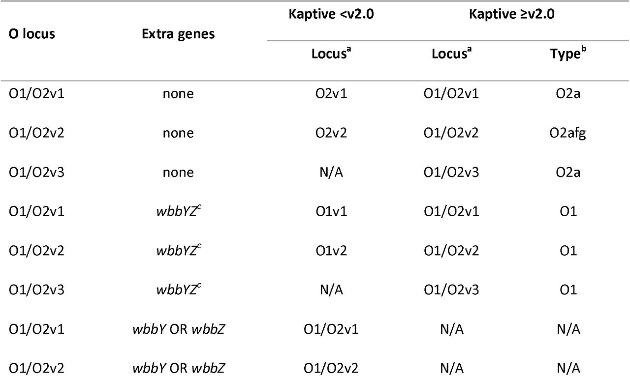 Genetic determinants of Klebsiella pneumoniae species complex O1 and O2 outer lipopolysaccharide antigens as reported in Kaptive.