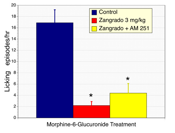 Suppression of morphine-6-glucuronide-induced licking in ferrets with Zangrado, and the effects of CB1 receptor inhibition of AM 251. Ferrets treated with M6G display a licking response which was quantified. Treatment with Zangrado (3 mg/kg, ip) reduced this licking response by 87% (n = 6, P < 0.01). Co-treatment with AM 251, the CB1 receptor antagonist, failed to reverse the benefits of Zangrado on M6G-induced itch (n = 6).
