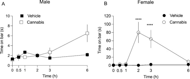 Catalepsy following oral cannabis consumption. (A) Male mice have a significantly increased latency to move after placement on the catalepsy bar at 6 hours post cannabis consumption. (B) In female mice, the catalepsy was greatest at 2 hours and persists to only 3 hours post cannabis consumption. Data are presented as mean ±SEM, n = 6–7.