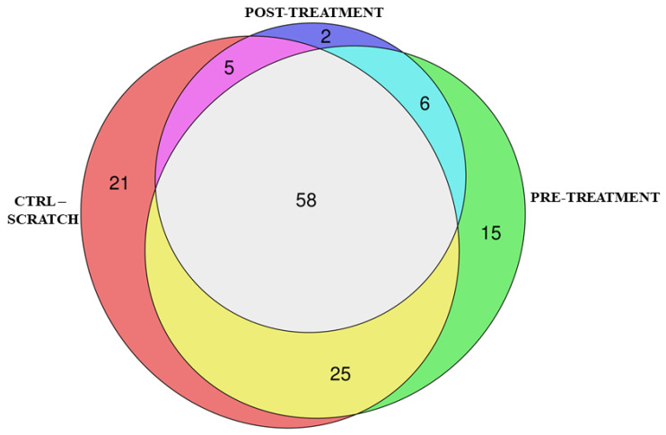 Euler diagram of the overrepresented KEGG pathways between the different comparisons. We observed that 58 pathways are commonly enriched in CTRL against scratch, pre-treatment, and post-treatment. CTRL against Scratch comparison individually enriches 21 pathways. Moreover, six pathways are commonly enriched before and after the treatment with CBG. Additionally, 15 pathways are exclusively enriched with pre-treatment and 2 pathways are specific of the post-treatment.