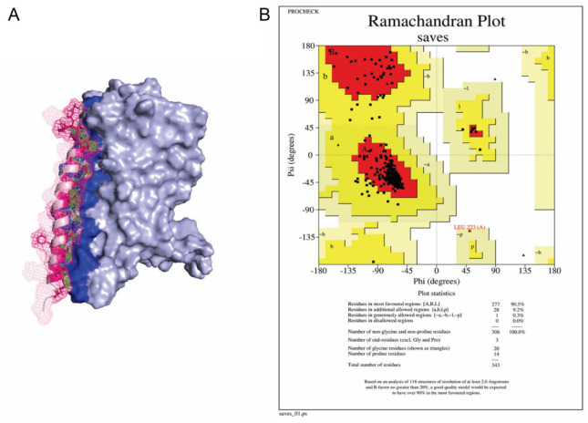 Protein structure of the CB2-HER2 complex and its Ramachandran plot for amino acid conformation analysis, using accepted Ramachandran regions for most.