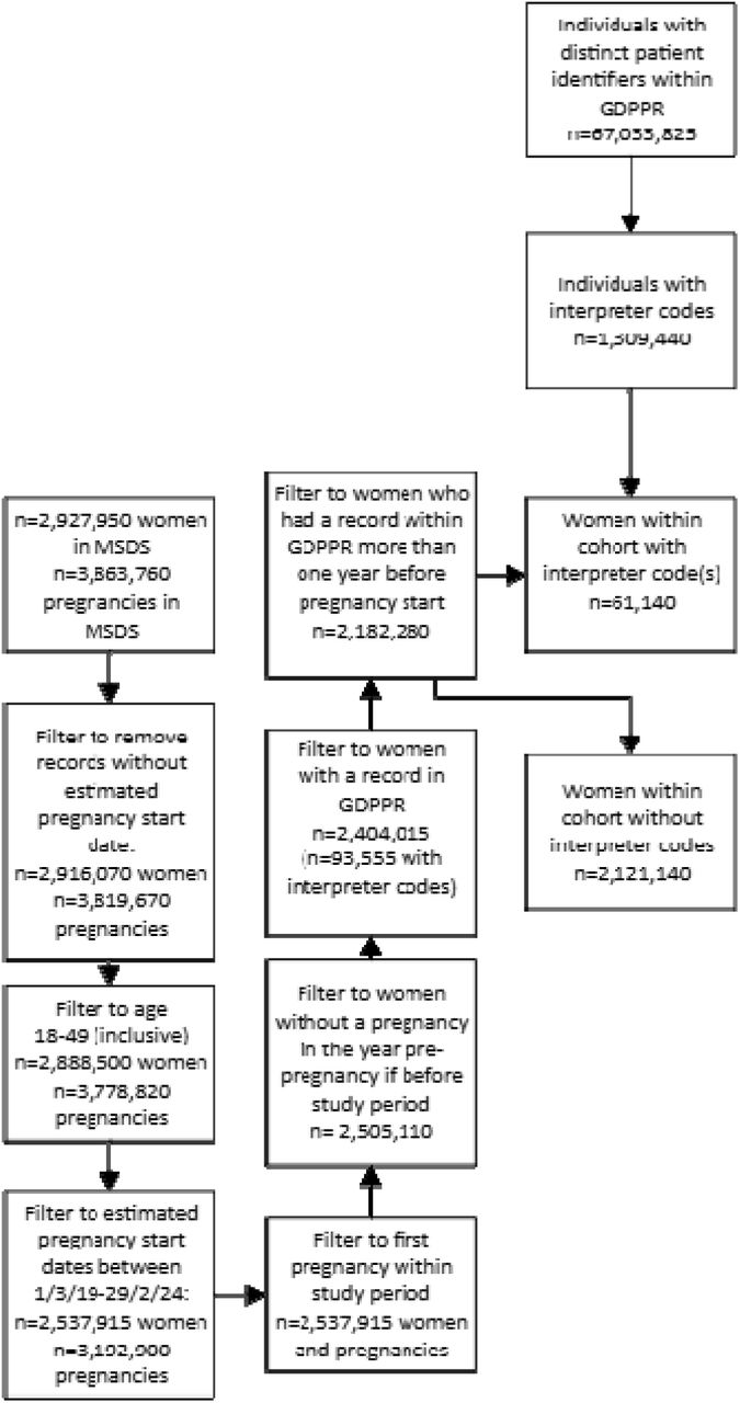 Number of women in the study including exclusions