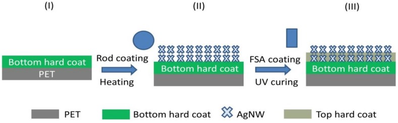 Schematic illustration of fabrication process of bottom hard-coat/silver nanowire/top hard-coat (BHC/AgNW/THC) transparent conductive films (TCFs).