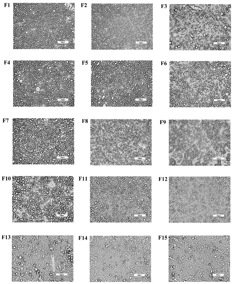 Microstructure of the freshly prepared emulsions. The bar corresponds to 50 µm.