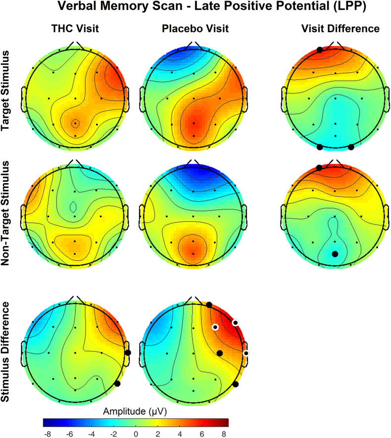 Verbal memory scan, late positive potential by visit and stimulus. Significant differences in LPP were found both between visits and between stimuli. Effects of visit read horizontally across figure; effects of stimulus are arranged vertically. Differences between Target and NonTarget stimuli were significantly elevated over right frontal and central channels during placebo visit. These differences all but disappeared during THC visit. Filled black circles mark significant channels before FDR correction for multiple comparisons; white rings indicate channels that remained significant after FDR correction for multiple comparisons. Numerical results of statistical analysis in Tables 3, 4.