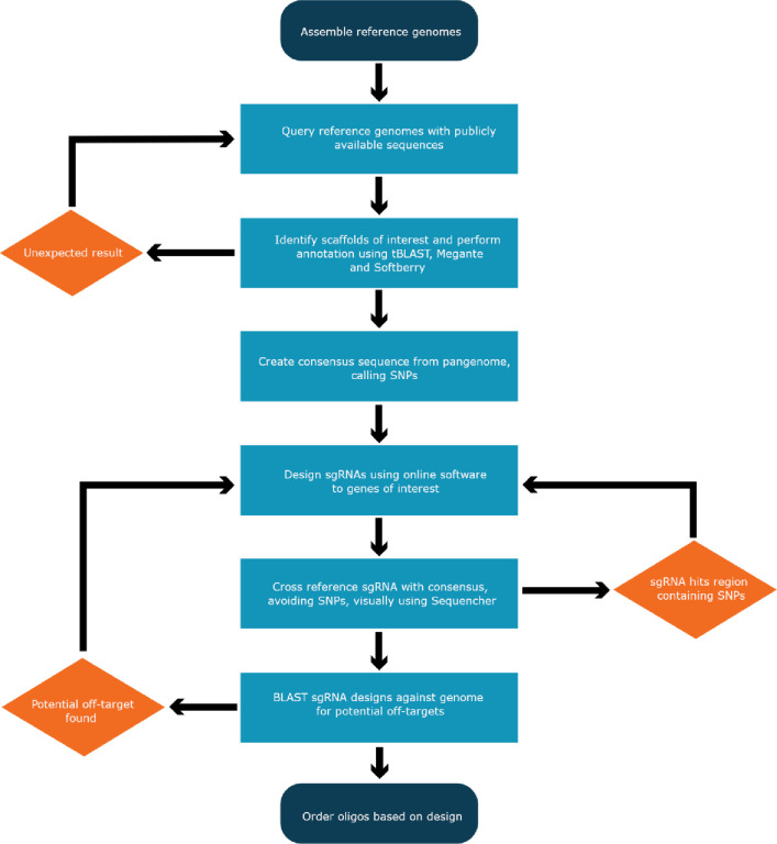 Informed genome editing pipeline for intelligent design of sgRNA.