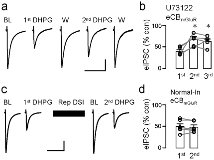 Regulation of eCBmGluR.(a) Sample eIPSCs (each trace is the mean of 3) from the same U73122-loaded cell in the indicated conditions (U73122, 6 µM, also present in the bath). BL denotes the baseline response, and W, the response obtained after washing out DHPG. DHPG was applied 3 times at 20-min intervals starting ∼15–20 min after break-in. (b) Group data for experiments in (a); *p<0.01, one way repeated ANOVA; Scale: 20 ms/200 pA. (c) Sample eIPSCs (each trace is the mean of 3) response to 50 µM DHPG before and after repetitive DSI stimulation (1-s depolarizing steps were given at 12-s intervals continuously for 4 min). (d) Group data showing that eCBmGluR was not affected by repetitive DSI stimulation. Scale: 20 ms/200 pA.