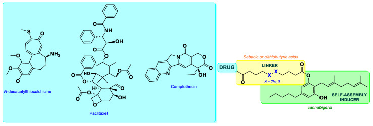 Design of cannabigerol-based drug conjugates.
