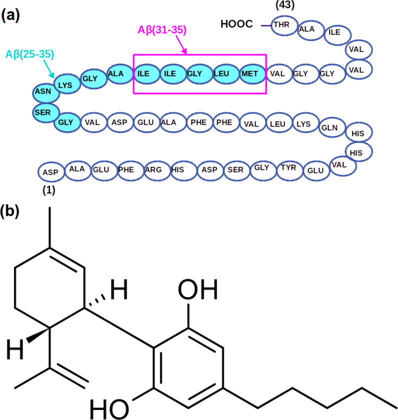 Molecules used in simulations: (a) the whole primary structure of the Aβ(1–43) peptide with denoted sequences of Aβ(25–35) (cyan circles) and Aβ(31–35) (magenta rectangle) peptides; (b) CBD molecule.