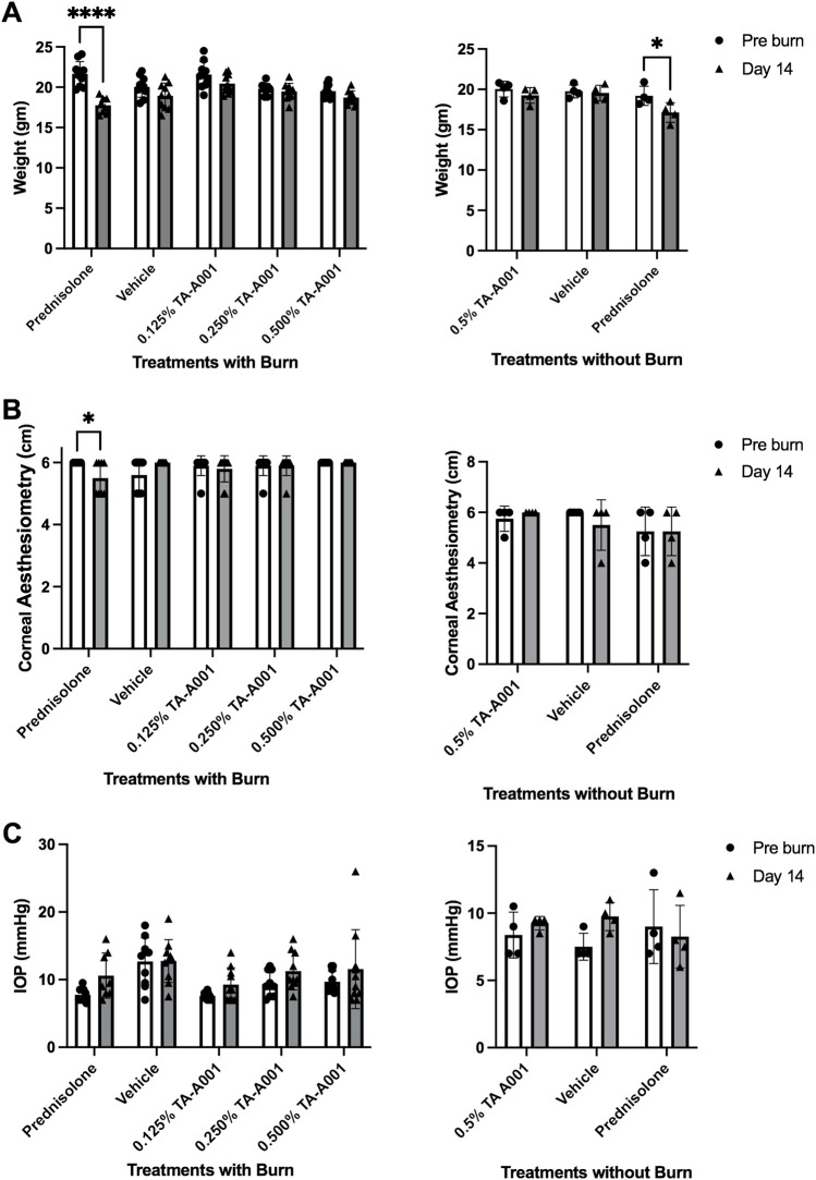 Clinical examination of mice treated with prednisolone, drug vehicle or different TA-A001 concentrations in alkali burned corneas and unburned, healthy corneas. Parameters monitored included (A) weight changes, (B) aesthesiometry measurements of touch sensitivity, and (C) Intraocular pressure (IOP) changes. *p ≤ 0.05, **p ≤ 0.01, ***p ≤ 0.001, and ****p ≤ 0.0001 by two-way ANOVA Tukey’s multiple comparisons test for (A, B); tonometry measurements of IOP used two-way ANOVA Šidák’s multiple comparisons test.