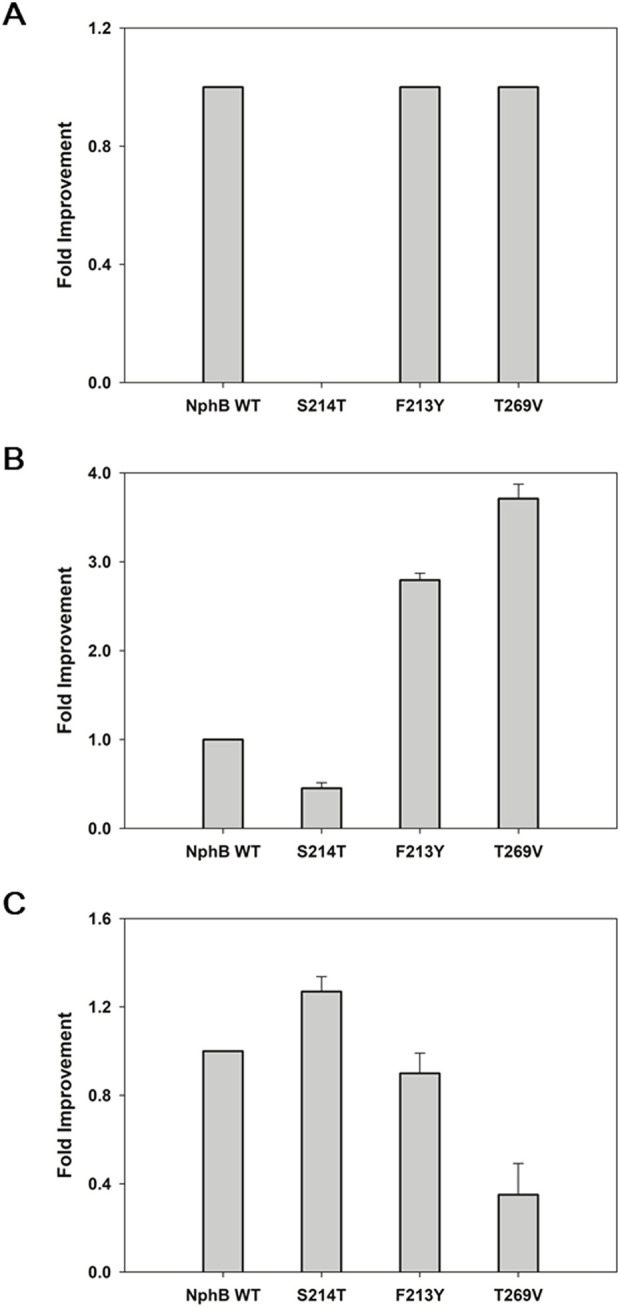 Biotransformation of the CBGA derivatives by NphB WT-based single mutants. (A–C), fold improvement in the yields for 2a∼2c, respectively, relative to the yield of NphB WT. No activity was found for 2d in the NphB WT or WT-based single mutants investigated. The whole-cell biotransformation was performed at 30°C by incubating 0.9 gcdw L−1 of cells with 5 mM MgCl2, 1 mM GPP, and 1 mM aromatic substrates in a 50 mM Tris-HCl buffer (pH 8.0) for 24 h. The error range represents the standard deviation from biological replicates of n = 3. The absolute yield of NphB WT for 2a was 6.4%, while the yields of NphB WT for 2b and 2c were calculated based on LC peak area due to the lack of available standards.