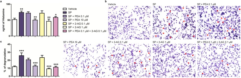 Co-treatment with subeffective concentrations of PEA and 2-AG down-modulates SP-induced histamine release and degranulation in RBL-2H3 cells. a Histamine release by ELISA, b Toluidine blue staining, and c the percent of degranulation were measured after that RBL-2H3 cells were stimulated with SP (10 μM) and treated with PEA (0.1 and 10 μM), 2-AG (0.1 and 1 μM), or PEA (0.1 μM) plus 2-AG (0.1 μM), for 15 min at 37 °C in a 5% CO2 atmosphere. Absorbance was measured at 450 nm (a). Red arrows show degranulated RBL-2H3 cells (b). Each bar (a, c) shows the mean ± SEM. **p < 0.01 and ***p < 0.001 compared with vehicle. °p < 0.05, °°p < 0.01, and °°°p < 0.001 compared with SP