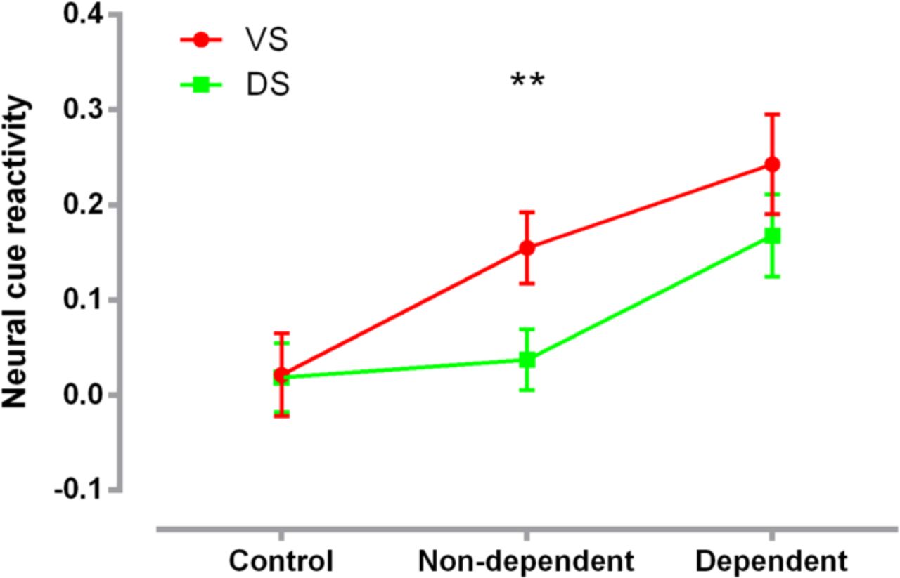 Extracted neural cue-reactivity (cannabis cue > neutral cue) for the ventral (VS) and dorsal (DS) striatum masks. Cue-reactivity in the ventral relative to the dorsal striatum was significantly higher in the non-dependent users, whereas no significant differences were observed in the other groups. Mean and standard errors (SEM) are displayed. ** pbonferroni < 0.01.