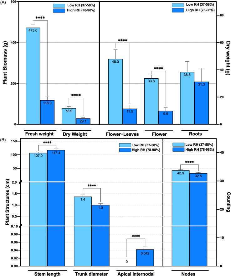 Two bar charts comparing plant growth metrics at different relative humidity (RH) levels. Chart (A) shows plant biomass categories: fresh weight, dry weight, flowers plus leaves, flowers, and roots. Plants under lower RH (78-98%) generally show lower biomass compared to low RH (37-58%). Chart (B) depicts plant structures: stem length, trunk diameter, apical internode, and nodes. lower RH conditions lead to decreased measurements, except for apical internode, where low RH shows similar or higher values. Statistical significance is indicated by asterisks.