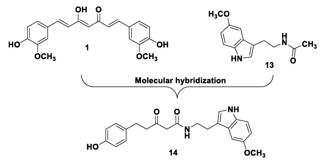 Design of curcumin-melatonin hybrid amide 14 with nanomolar potency for neuroprotection in MC65 cells.