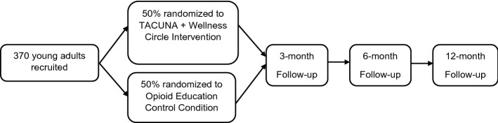 Randomized controlled trial study flow