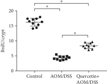 Quercetin restores cell proliferative activity in AOM/DSS-treated mice. Quantification of BrdU staining. BrdU cells per crypt were elevated; a total of 20 crypts per mouse; n = 10 per group. ∗P < 0.05.