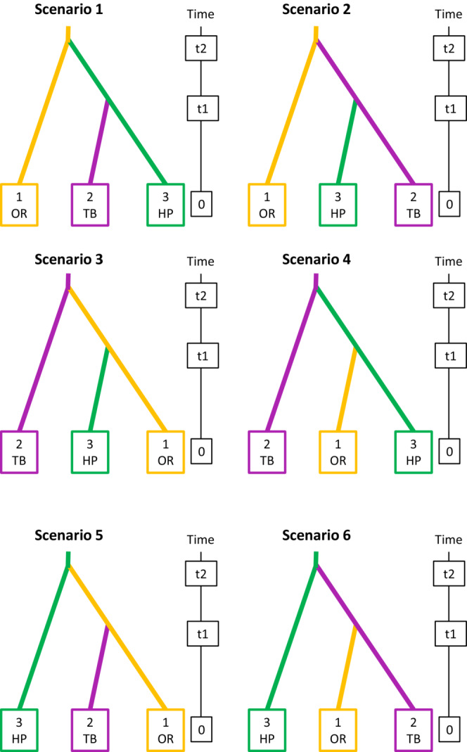 The six possible evolutionary scenarios for the three main genetic clusters identified by DAPC and associated with the three main host crops (OR: oilseed rape, TB: tobacco, HP: hemp).