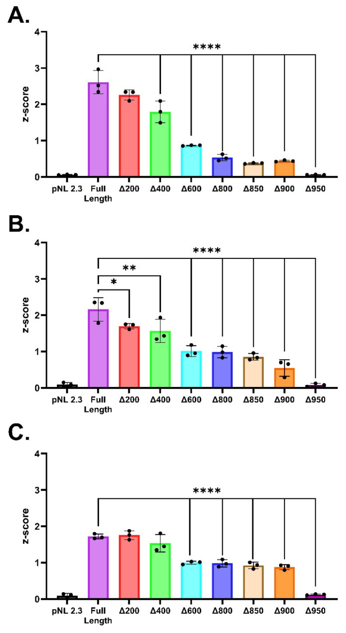 Luciferase reporter activity of full-length (FL) CNR1 promoter and deletion fragments. The FL promoter and deletion fragments were transfected into HEK293T (A), HCT116 (B), and SHSY5Y (C) cells. Luciferase reporter activity was measured after 24 h, and the activity of each fragment was calculated as a z-score of the average relative light units (RLUs) from each experiment. All deletion fragments missing the first 400 bp (i.e., Δ600, Δ800, Δ850, Δ900, and Δ950) showed statistically significant reduction in activity in all three cell lines. In particular, the deletion of the regions between Δ400–Δ600 and Δ900–Δ950 marks significant reductions in activity in all three cell lines. Data shown are represented as z-score mean ± S.D. with individual replicates shown (N = 3). The statistical differences were evaluated by ordinary one-way ANOVA followed by Dunnett’s multiple comparison test, * p < 0.05, ** p < 0.01, **** p < 0.0001.