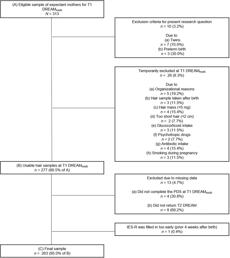 Flowchart of retention rate and exclusion criteria resulting in final sample.Data until January 31st 2022 (version 9 of the quality-assured data files, prospective data collection ongoing). T1 DREAMHAIR = 4 ± 2 weeks prior to anticipated birth date; T2 DREAM = 8 weeks after anticipated birth date. PDS Posttraumatic Diagnostic Scale, IES-R Impact of Event Scale-Revised.
