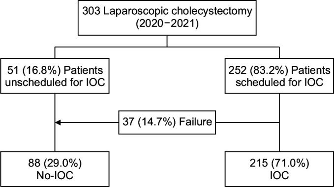 Flowchart of the study population. IOC, intraoperative cholangiography.