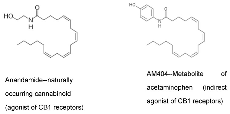 Chemical structure similarity between anandamide and acetaminophen metabolite AM404. Modified from https://commons.wikimedia.org/wiki/File:Anandamide_skeletal.svg (accessed on 20 February 2021), https://commons.wikimedia.org/wiki/File:AM404_skel.png (accessed on 20 February 2021), under the terms of CC BY-SA 3.0 license.