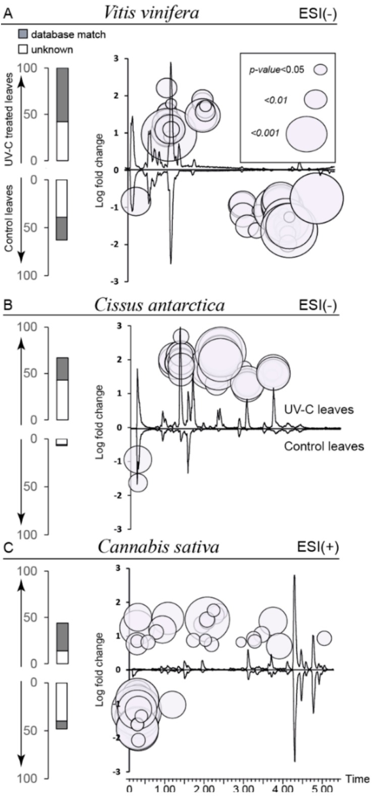Right: LC-MS chromatogram of control (BPI trace) (bottom) and UV-C-treated leaves (top). Superimposed are the main features plotted according to their mean log-fold change between control and UV-C treatment. The area of the circle is inversely proportional to the p-value of an unpaired T-test, α = 0.05. Left: bar plot showing the number of features up- and down-regulated in UV-treated leaves (>5-fold intensity changes). Blank bar shows unidentified features; grey bar shows features with a database match.
