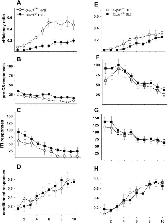 Oprd1 −/− mice are impaired in the signaled nose poke task.Performance on Phase 4 of the signaled nose poke task for delta-opioid receptor knockout mice and their wild-type controls on a HYB (A–D) or BL6 (E–H) background. A: Efficiency ratios (rewards/nosepokes) increased across 10 sessions indicating that all groups were capable of learning the task. Both HYB and BL6 Oprd1 −/− mice exhibited lower efficiency ratios (i.e., more impulsivity) than their wild-type controls. The significant background effect reflected the fact that both knockout and wild-type BL6 mice were more impulsive than mice on a HYB background. B and F: Responses during the pre-CS period also declined across sessions although the effect was not as pronounced in Oprd1 −/− mice. Again, responses of HYB mice were increased compared to mice on a BL6 background. C and G: Responses during the 20-s inter-trial interval (ITI) decreased across sessions and the rate of decline was consistent across groups. Nonetheless, HYB mice responded at higher rates than BL6 mice of both genotypes throughout the sessions. D and H: Conditioned responding (rewards/signals) increased across sessions, but there were no genotype or background differences on this measure and no statistically significant interactions. Oprd1+/+ HYB, n = 9; Oprd1 +/+ BL6, n = 12; Oprd1 −/− HYB, n = 8; Oprd1 −/− BL6, n = 10.