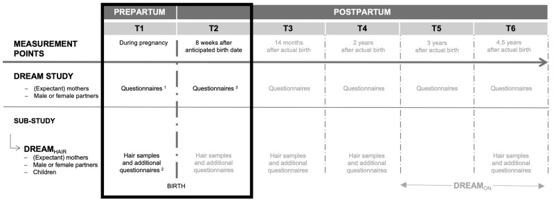 Measurement waves of the DREAM study and its endocrine sub-study DREAMHAIR.Greyed assessments are not relevant to this investigation. This study’s sample completed 1questionnaires at T1 DREAM (M = 26.67 weeks pregnant, SD = 5.37 weeks, Range = 12–40 weeks pregnant), 2completed questionnaires and provided hair samples at T1 DREAMHAIR (M = 22.10 days before the actual birth date, SD = 10.64 days, Range = 1–47 days), and completed 3questionnaires at T2 DREAM (M = 8.24 weeks, SD = 1.55 weeks, Range = 4–14 weeks).