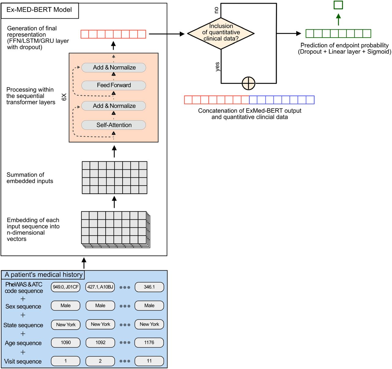 Overview of the model structure. Compared to BERT or other transformer-based models, we employed a multimodal embedding layer for structured EHR data comprising of drug, diagnosis, visit information, and information about a patient’s sex, state of residence, and age. After embedding, the input is passed through 6 transformer layers before a final representation of a patient’s medical history is generated with an FFN, LSTM, or GRU head. Subsequently, these patient representations were either concatenated with the quantitative clinical data or directly passed through an FFN head for classification.