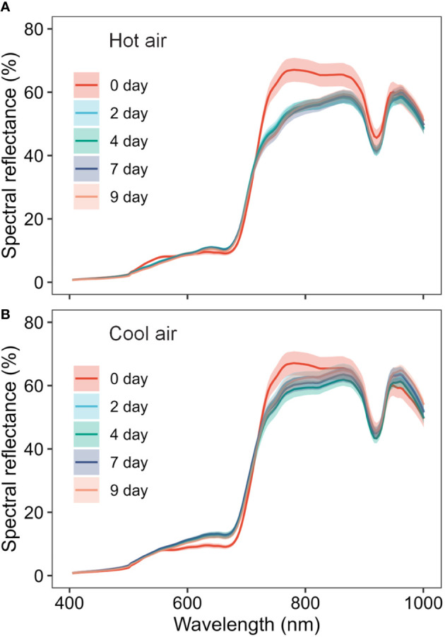 Spectral changes of cannabis flowers during the drying period (0, 2, 4, 7, and 9 days) according to drying method (A, hot-air drying; B, cool-air drying). Solid lines and shaded areas indicate mean ± SD (n = 10).