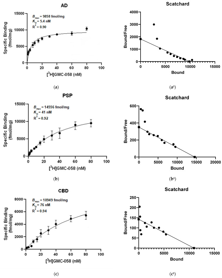 [3H]GMC-058 saturation binding assays in (a,a1) AD, (b,b1) PSP, (c,c1) CBD, (d,d1) MSA-P, (e) PD and (f,f1) control brain homogenates. [3H]GMC-058 saturation binding assays were carried out in brain tissue homogenates from AD, PSP, CBD, MSA-P, PD, and control cases using concentrations of 0.9 to 80 nM. Non-specific binding was determined using 10 μM of unlabeled GMC-058. Scatchard plots indicating Bmax and KD values. Error bars represent the mean ± SD for two experiments in triplicates. Bmax = maximum number of binding sites; KD = dissociation constant.