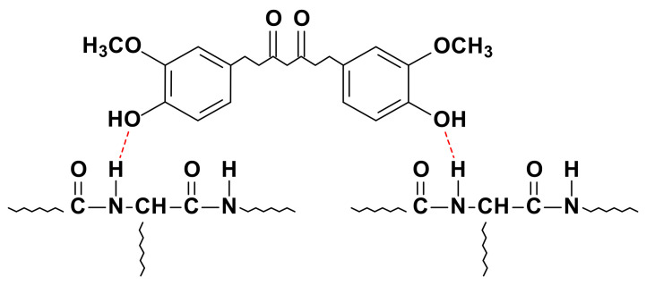 Schematic diagram of the interactions between collagen and THC by hydrogen bonding.