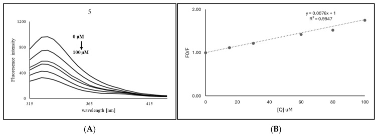 (A) Fluorescence quenching of TYR at λex = 280 nm in increasing concentrations of 5 at 310 K. (B) Stern–Volmer plot.
