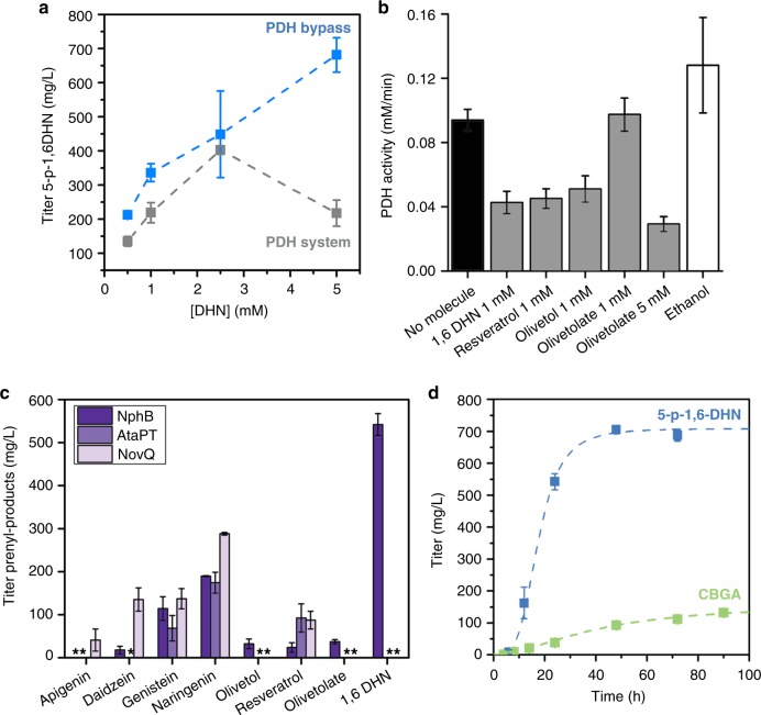 Development of a PDH bypass for the prenylation of aromatic polyketides. a The comparison of the final titers achieved with the full pathway utilizing PDH (PDH system-gray trace) and the PDH bypass system (blue trace) at different concentrations of 1,6 DHN. (biological replicates, n = 3). b The activity of pyruvate dehydrogenase (E. coli PDH) measured in the presence of various aromatic polyketides and 2% ethanol (vehicle) (biological replicates, n = 3). c Various aromatic substrates were added to the pathway with either NphB, AtaPT, or NovQ prenyltransferase (biological replicates, n = 3). The result is a variety of C5 and C10 prenyl-natural products. (* Indicates titer not determined). d Production of 5-prenyl-1,6 DHN (blue trace) over time compared to a separate reaction to produce CBGA (green trace). Both reactions utilized the PDH bypass and WT NphB (biological replicates, n = 3). All error ranges reflect the standard deviation. Source data for Fig. 2a–d are provided as a Source Data file