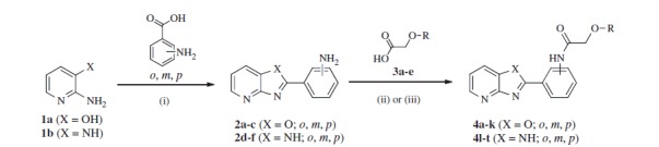 Reagents and conditions: (i) PPA, 200 °C, 6 h; (ii) (COCl)2, NaH/Et3N, DMF, rt, overnight (for 4a–c and 4 l–n); (iii) TBTU, DIPEA, DMF, 70 °C, overnight (for 4d–k and 4o–t).