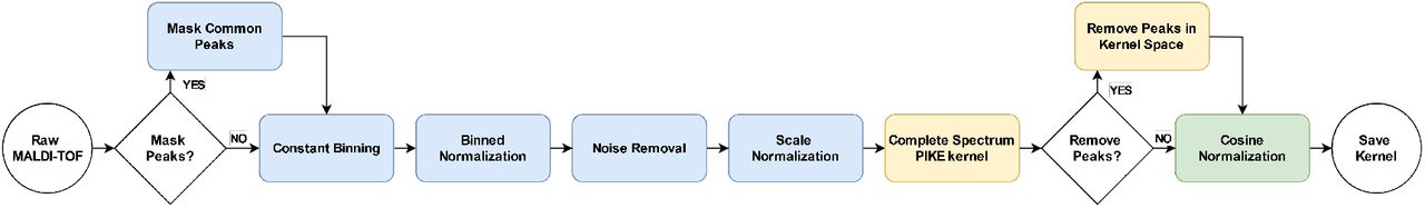 Pipeline from raw MALDI-TOF MS spectra to kernelized data.
