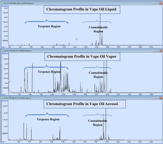 Total ion chromatograms of liquid, vapor, and aerosol phases in one of tested samples.