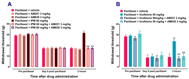 CB receptor antagonists prevent the antiallodynic effects of indomethacin plus minocycline (IPM) combination and licofelone. Withdrawal thresholds at pre-paclitaxel administration (baseline), on day 9 post-first administration of paclitaxel, and 2 h after acute treatment with the drugs. Effects of AM251, a CB1 receptor antagonist, and AM630, a CB2 receptor antagonist, on the antiallodynic effects of (A) IPM combination, n = 7–8, and (B) licofelone, n = 5, in rats with paclitaxel-induced mechanical allodynia at 2 h after administration. * p < 0.05, ** p < 0.01 compared to drug vehicle and ## p < 0.01 compared to IPM combination or licofelone at the same time point after treatment. (Two-way ANOVA followed by Šídák’s multiple comparisons test).
