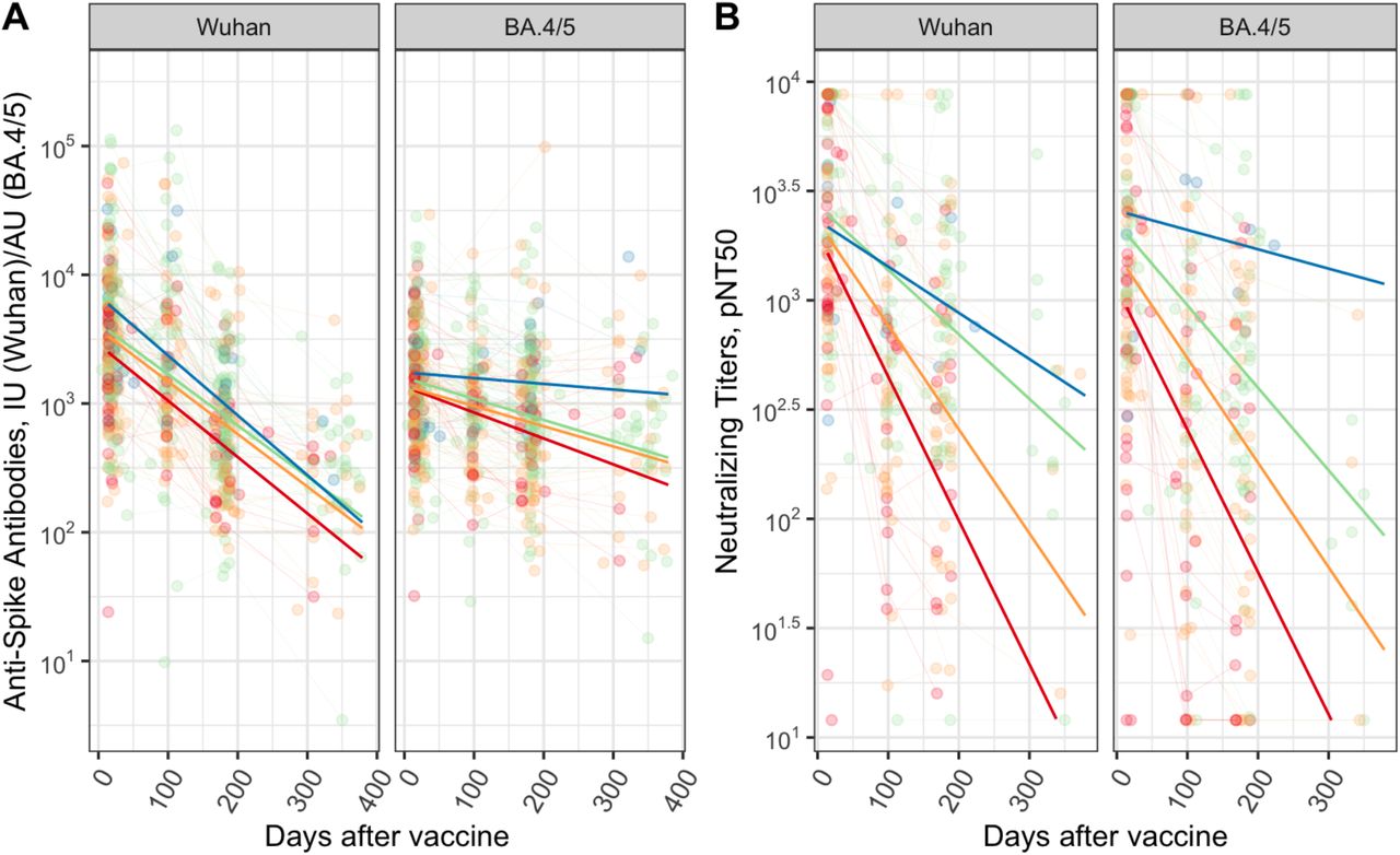 NHR post-Bivalent booster, different peak + decay estimated by # of exposures of vaccine OR infection.Anti-Spike (A) and Neutralizing titers (B) for Wuhan (left), and BA.4/5 (right) following bivalent booster. Number of exposures (sum of infections and prior vaccine doses) ranging from 3 (red), 4 (yellow), 5 (green) and 6 (blue).