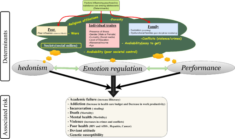 Determinants for using drugs by students (hedonism, emotion regulation and for performance).