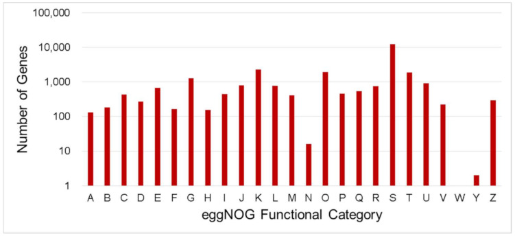 Number distribution of eggNOG annotation of Unigenes related to A–Z. A—RNA processing and modification; B—Chromatin structure and dynamics; C—Energy production and conversion; D—Cell cycle control, cell division, chromosome partitioning; E—Amino acid transport and metabolism; F—Nucleotide transport and metabolism; G—Carbohydrate transport and metabolism; H—Coenzyme transport and metabolism; I—Lipid transport and metabolism; J—Translation, ribosomal structure and biogenesis; K—Transcription, L—Replication, recombination and repair; M—Cell wall/membrane/envelope biogenesis; N—Cell motility; O—Posttranslational modification, protein turnover, chaperones; P—Inorganic ion transport and metabolism; Q—Secondary metabolites biosynthesis, transport and catabolism; R—General function prediction only; S—Function unknown; T—Signal transduction mechanisms; U—Intracellular trafficking, secretion, and vesicular transport; V—Defense mechanisms; W—Extracellular structures; Y—Nuclear structure; Z—Cytoskeleton.